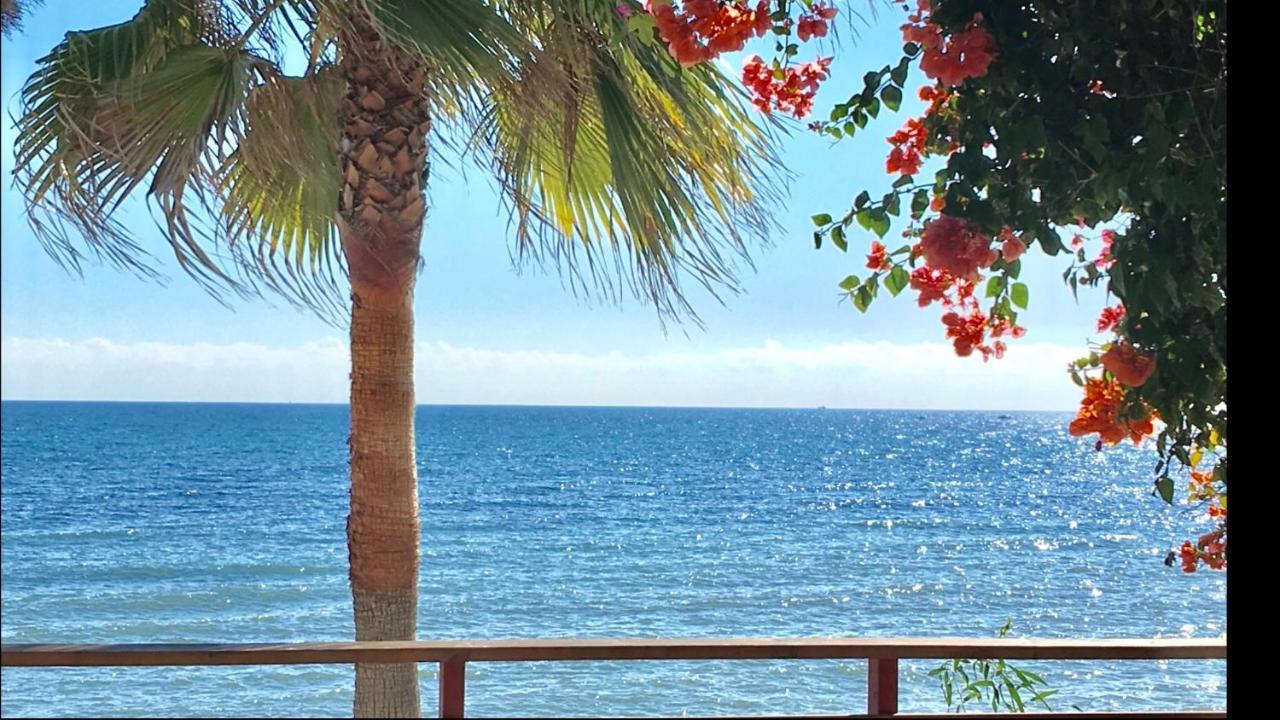 Mi Capricho 4C Beachfront -Apartment With Sea View - Costa Del Sol Sitio de Calahonda Esterno foto
